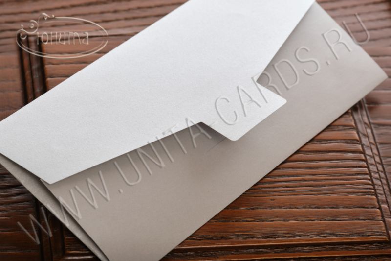 ЕВРО-Конверт из серебряной дизайнерской бумаги 250 гр 03-3053E_maj_s - 2 