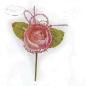 18242 Роза бледно-розовая